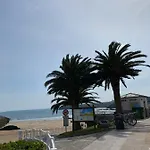 El De Alba En *